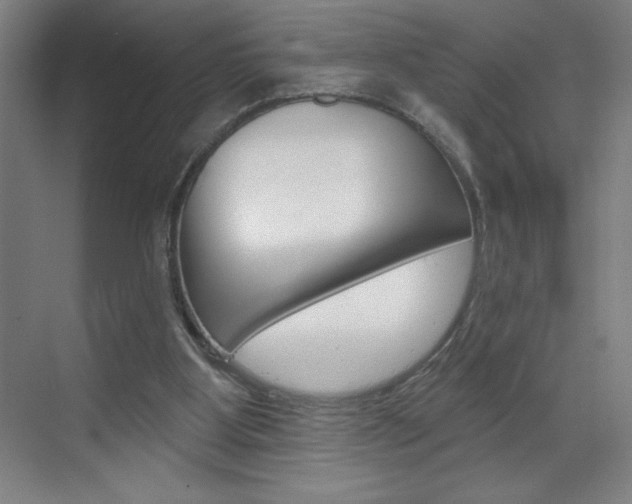X0000070820107200606160926