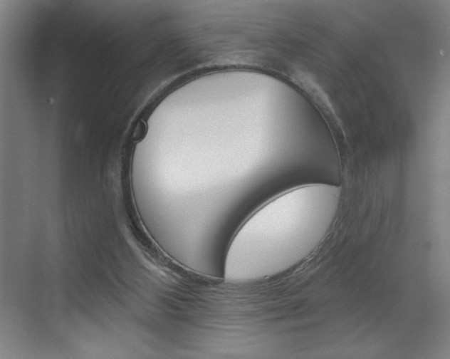X0000070820108200606160926