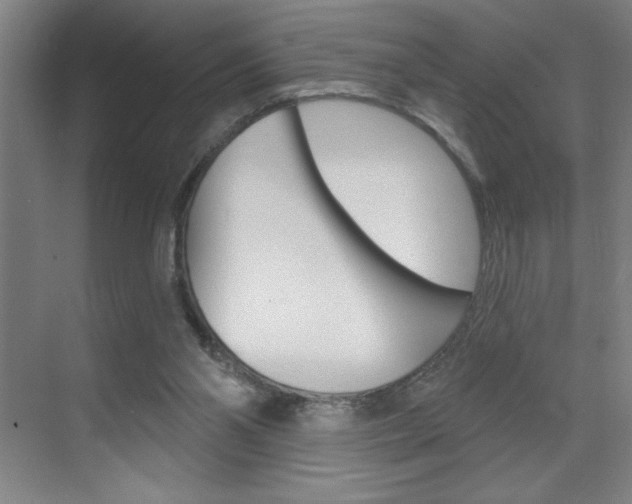 X0000070820110200606160926