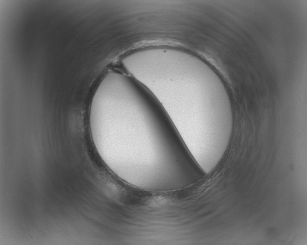 X0000070820111200606160926