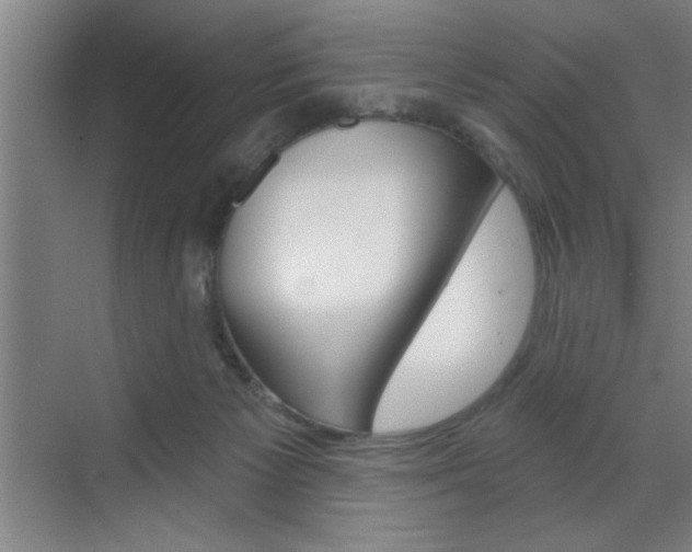 X0000070820125200606160925
