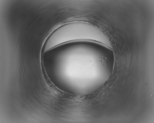 X0000070820148200606160924