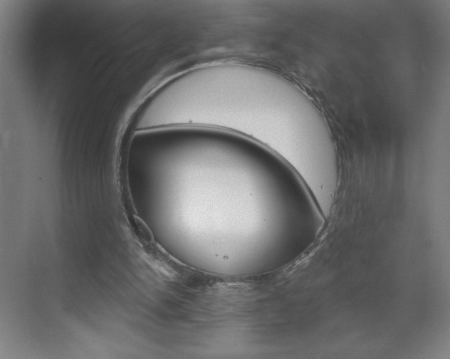 X0000070820150200606160924
