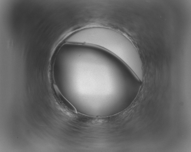 X0000070820152200606160924