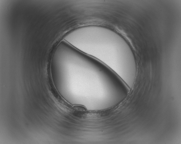 X0000070820154200606160924