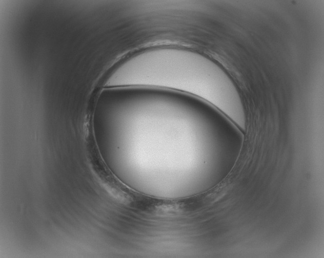 X0000070820160200606160925