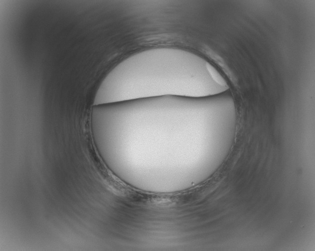 X0000070820161200606160925