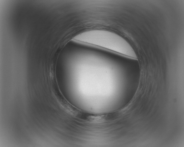 X0000070820170200606160925