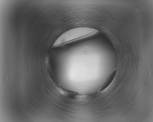 X0000070820192200606160925