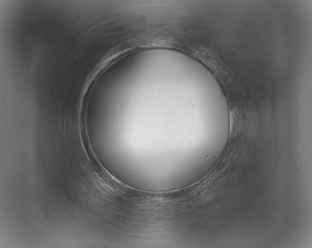 X0000070820195200606160924