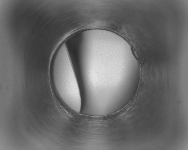 X0000070820196200606160924