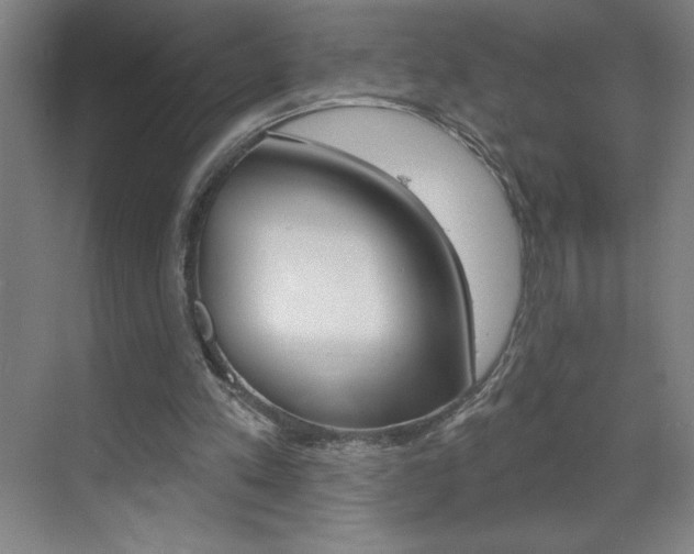 X0000070820197200606160924