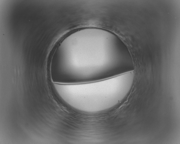 X0000070820200200606160924