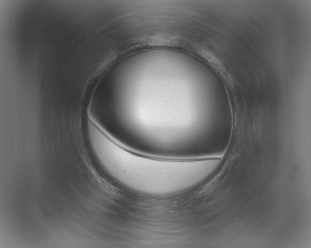 X0000070820201200606160924