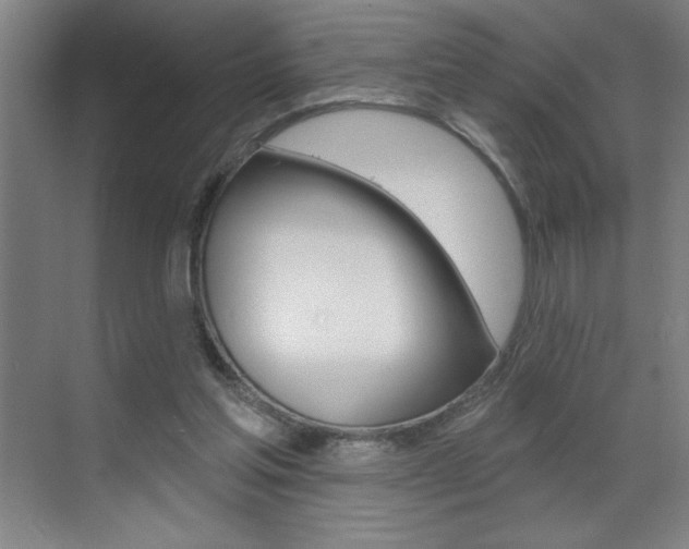 X0000070820205200606160924
