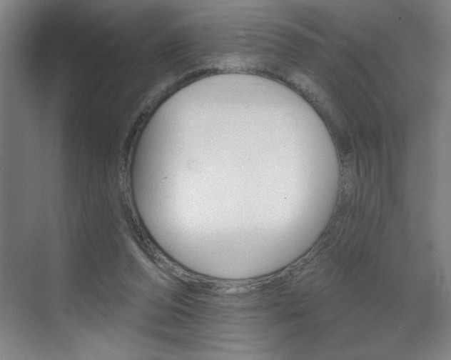 X0000070820208200606160924