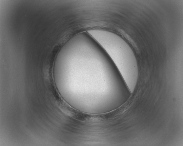 X0000070820209200606160924