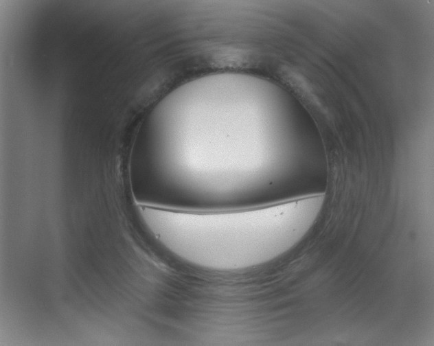 X0000070820211200606160924