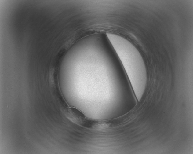 X0000070820217200606160924