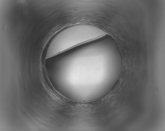 X0000070820242200606160923