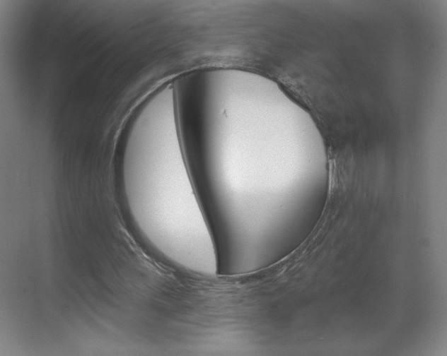 X0000070820243200606160923