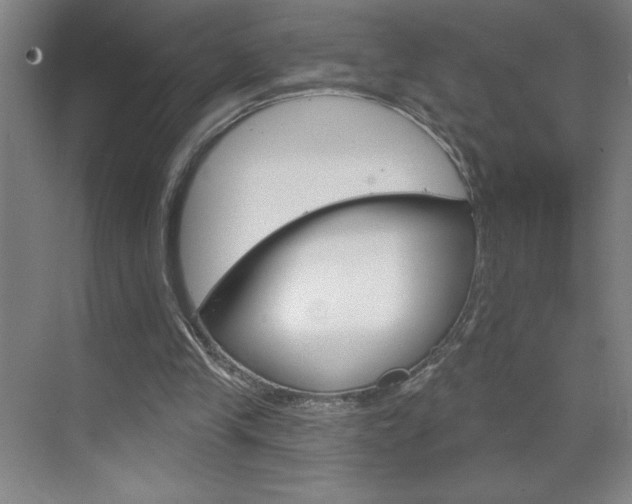 X0000070820245200606160923