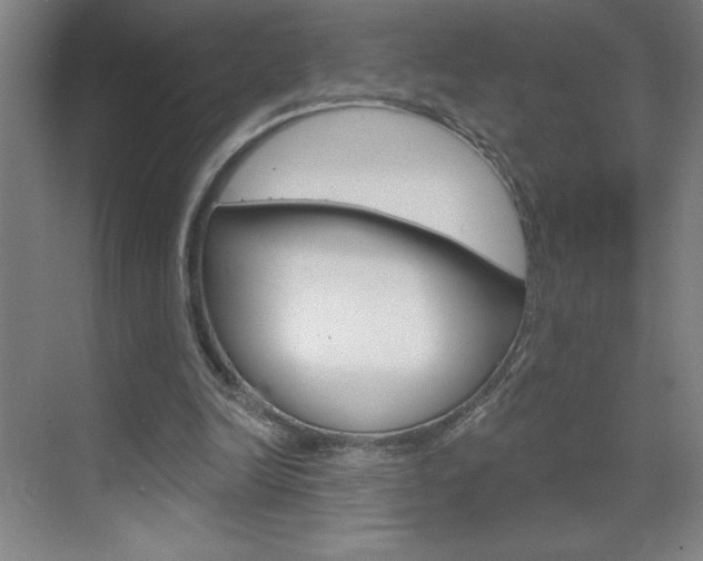 X0000070820246200606160923