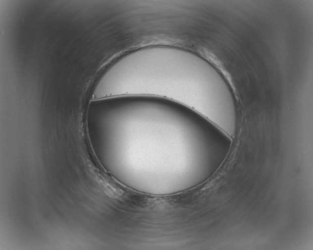 X0000070820249200606160923