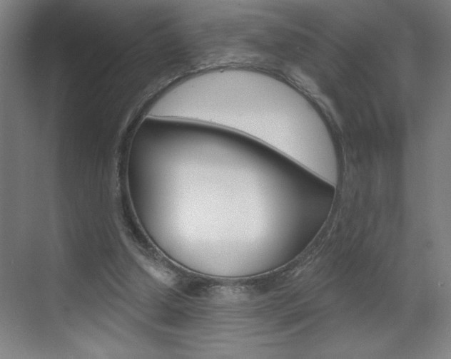 X0000070820250200606160923