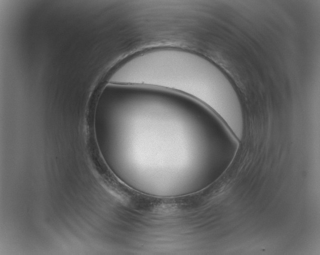 X0000070820252200606160923