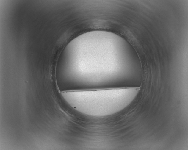 X0000070820255200606160923