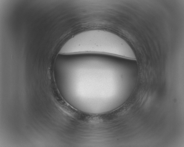 X0000070820258200606160923