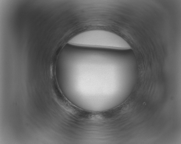 X0000070820262200606160923