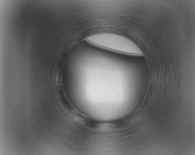 X0000070820268200606160923