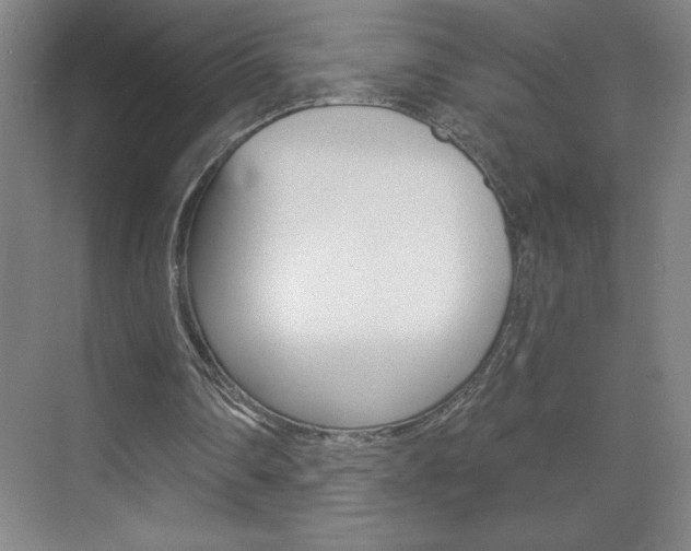 X0000070820290200606160923