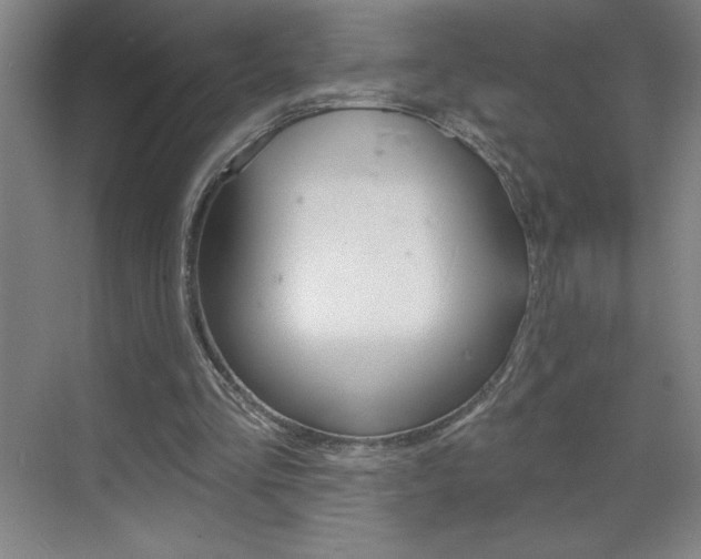 X0000070820293200606160923