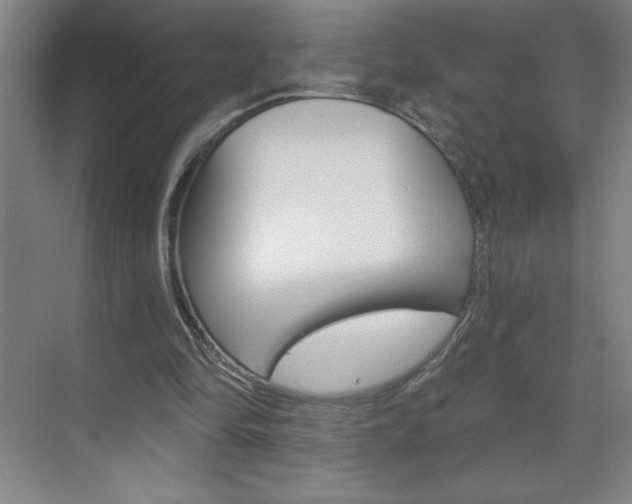 X0000070820294200606160923