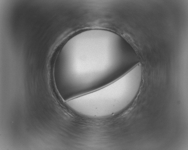 X0000070820295200606160923