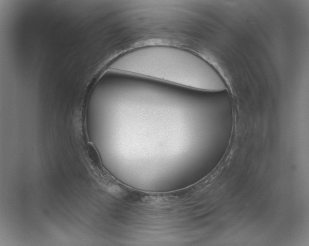 X0000070820297200606160923