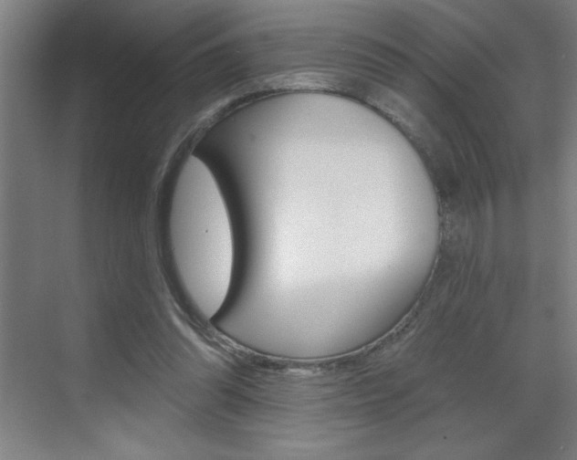 X0000070820302200606160922