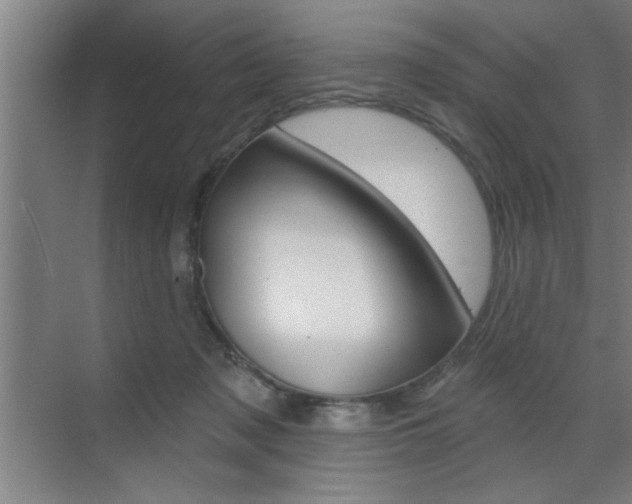 X0000070820317200606160922