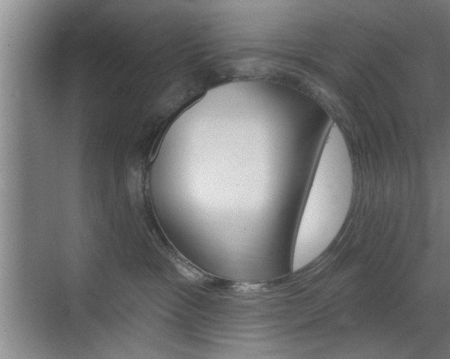 X0000070820333200606160922