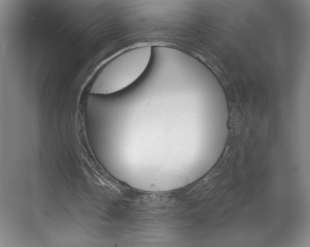 X0000070820338200606160921