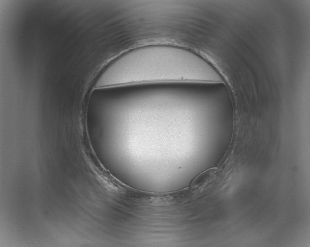X0000070820345200606160921