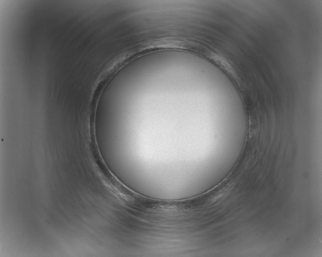 X0000070820349200606160921