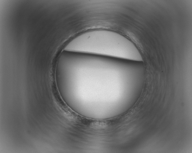 X0000070820354200606160921