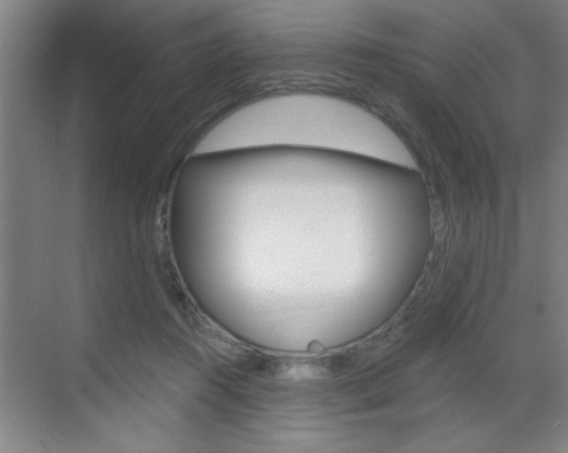 X0000070820360200606160921