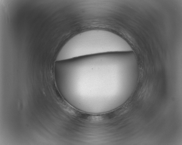 X0000070820361200606160921