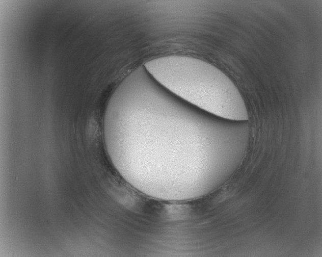 X0000070820371200606160922