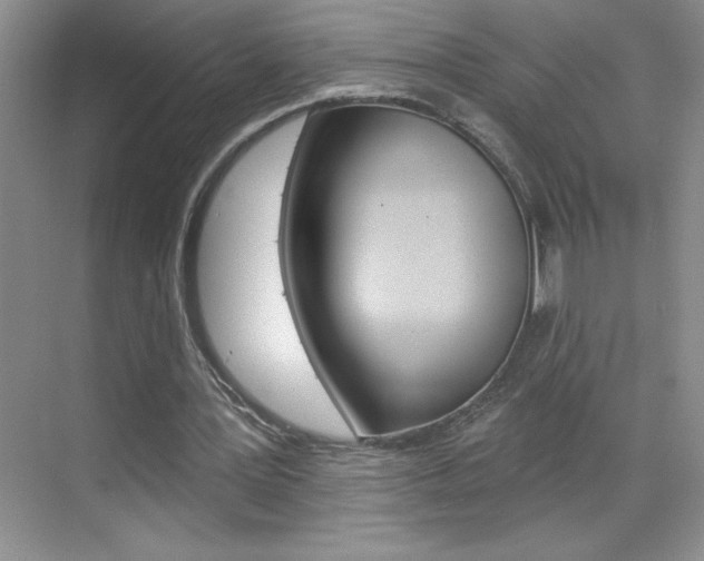 X0000070820387200606160921